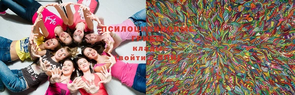 марки lsd Абаза