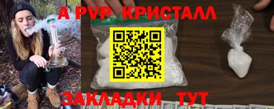 PSILOCYBIN Донской