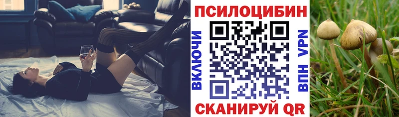 кракен маркетплейс  где купить   Приморско-Ахтарск  Галлюциногенные грибы Magic Shrooms 