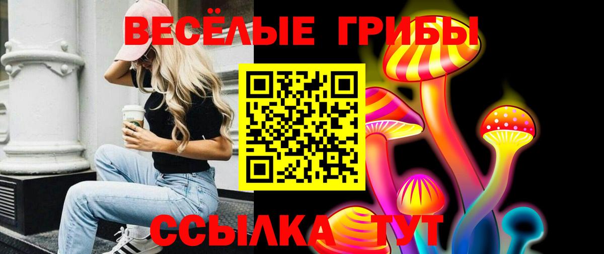 Приморско-Ахтарск  Псилоцибиновые грибы мухоморы  Вход с VPN  Псилоцибиновые грибы прущие грибы 